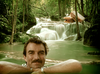 Illustration for article titled Great Job, Internet! Selleck Waterfall Sandwich
